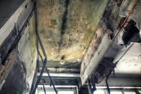 Best Biohazard Mold Removal  in Fuquay Varina, NC